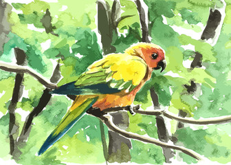 colorful parrot in forest painting background