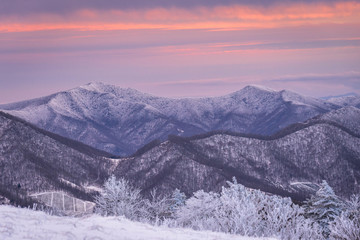 Winter Sunset at Roan Mountain - 78797407
