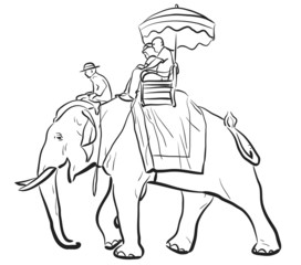Elephant riding sketch