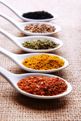 Different kinds of spices in ceramics spoons,