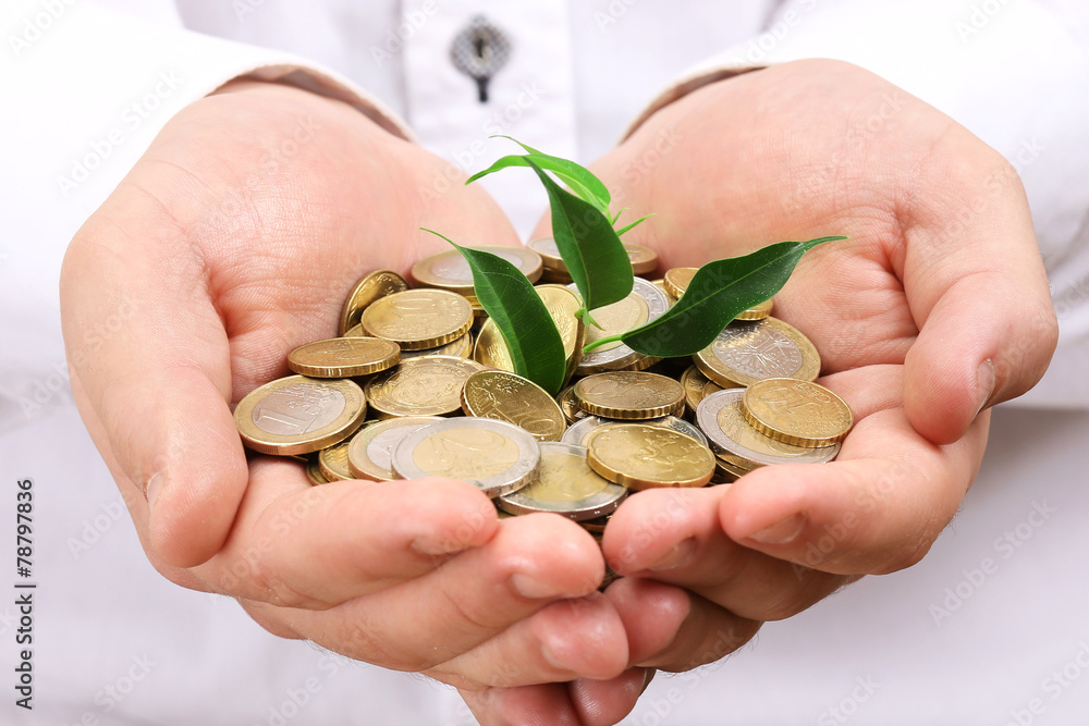 Wall mural male hands with coins and plant close-up