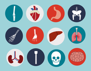 body, healthy, desing, vector llustration.