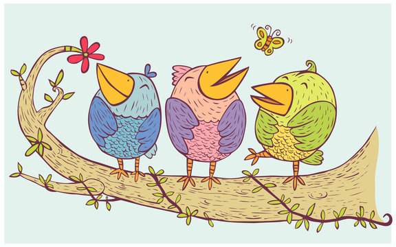 three birds