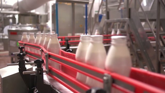 Fresh dairy products plant - white yogurt bottles on a conveyor
