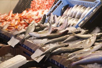 Fresh fished sea bass