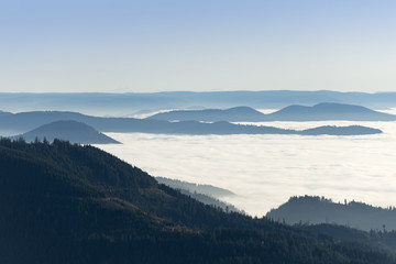 Bei der Hornisgrinde im Schwarzwald
