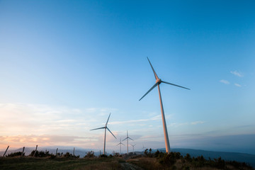 Fototapeta premium wind farm