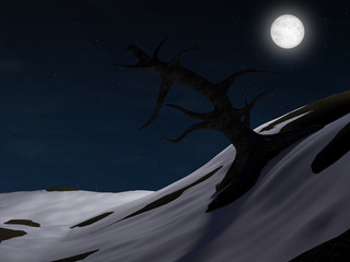 Big Old Dead Tree on Wintry Landscape at Night with Moonlight