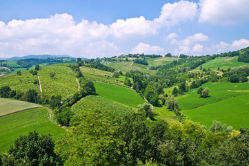 Fototapeta na wymiar Panoramic view of Torrechiara. Emilia-Romagna. Italy.
