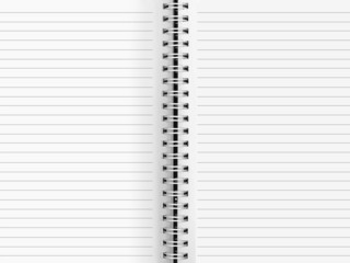 Blank paper binder