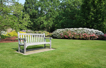 Bench seat in an english park in early Spring