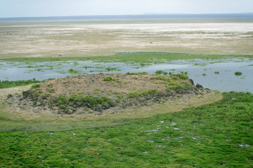 Plaine kenyane à Amboseli