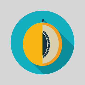 Melon flat icon with long shadow