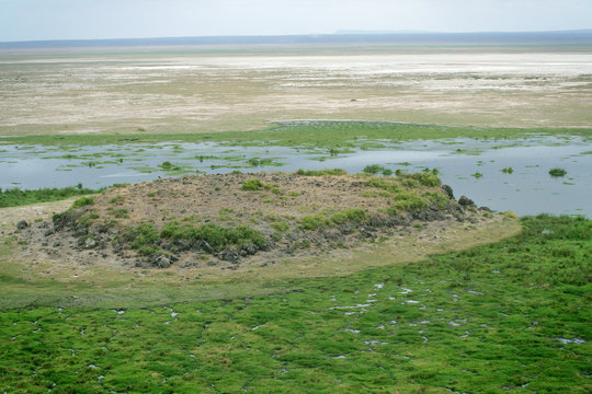Plaine kenyane &agrave; Amboseli