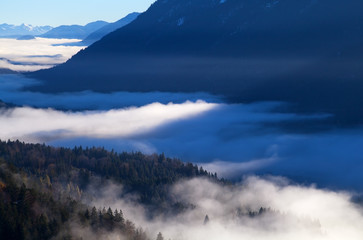 dense morning fog in Alps