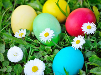 Colored easter eggs on green grass