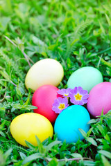 Fototapeta na wymiar Colored easter eggs with flowers primrose on green grass
