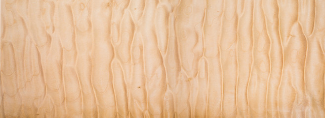 Texture of Quilted Maple