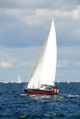 Fototapeta na wymiar Segelboot auf dem Meer - 387
