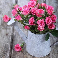 Bouquet of roses in a watering can