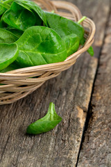 spinach in a basket on wooden surface