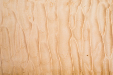 Texture of Quilted Maple