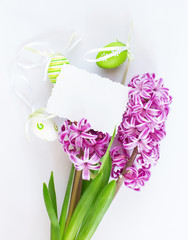 Violet Hyacinth flowers