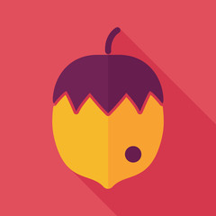 Nut flat icon with long shadow
