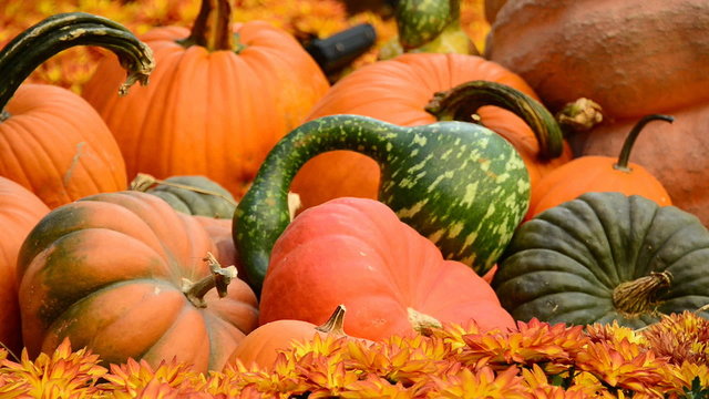 Cornucopia of Fall Holiday Items