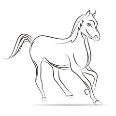 Obraz na płótnie Canvas horse
