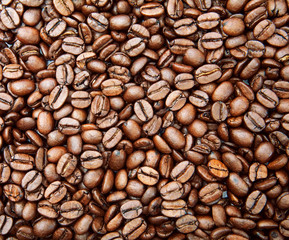 Photo of natural fried grains of coffee. 