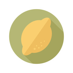 Lemon flat icon with long shadow