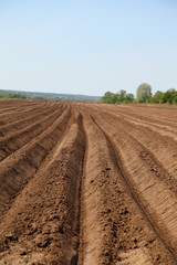 Plowed field in spring day