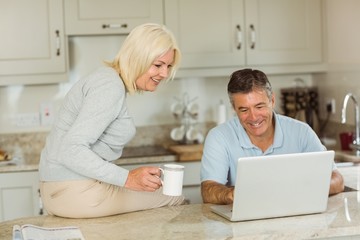 Obraz premium Happy mature couple using laptop
