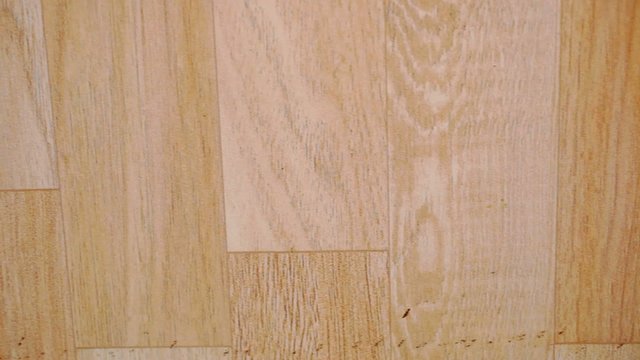Close up of oak parquet Of beige color. Macro video shift motion