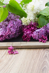 Lilac on table