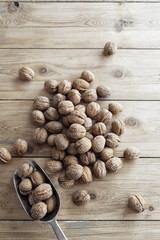 High angle view of walnuts and scoop
