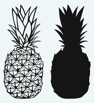 Ripe tasty pineapple isolated on blue background