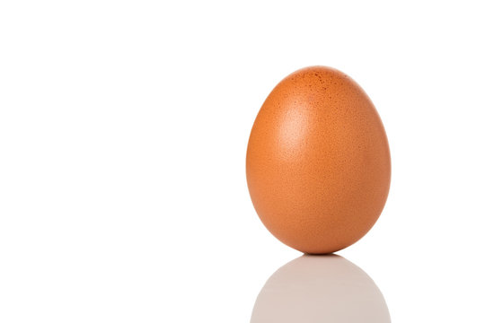 Brown Egg