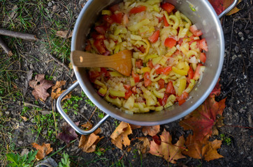 Cooking on a picnic - onion and pepper in a pan