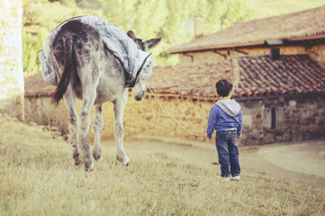 niño con animal