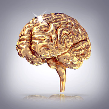 Golden brains on grey background.