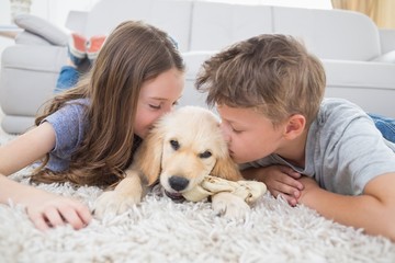 Siblings kissing puppy on rug