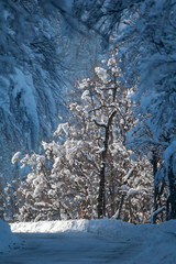troué de lumière ensoleillé au bout de la route