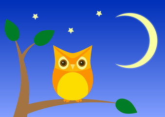 Fototapeta premium 夜の梟