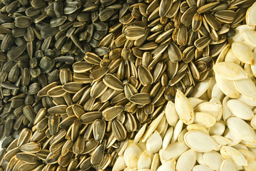 Image of various seeds