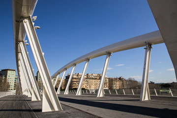 Ponte della Musica - Roma