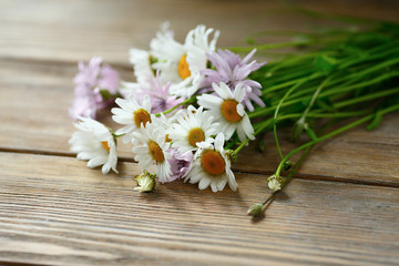 Daisies on wooden boards
