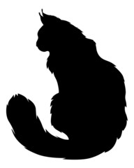 Furry cats silhouette
