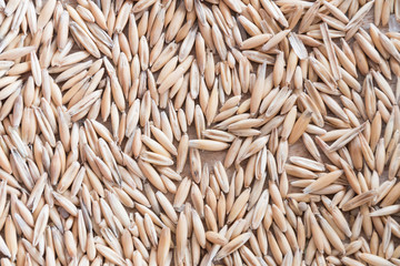 oat grain